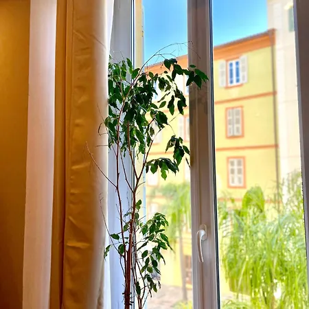 Apartment Confort Hypercentre D'ajaccio *